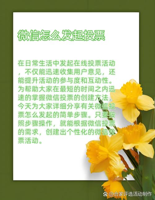 如何通过微信发起投票_投票发起微信通过怎么设置_发起投票微信