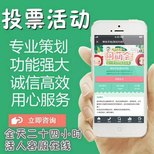 微信人工投票20元1000票_微信人工投票一票多少钱_人工投票群微信
